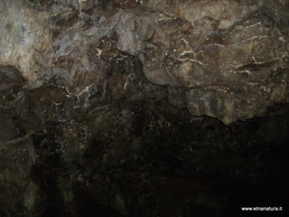 conco di Liricio-24-03-2013 10-27-18